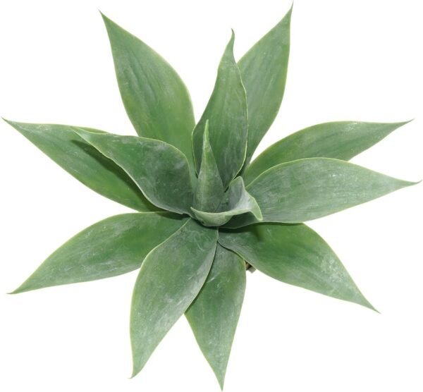 Artificial Potted Plants, 13.8" Artificial Succulent Fake Aloe, Large Faux Aloe Plant in Pot for Home Office Room Badroom Garden Decor (Grey)