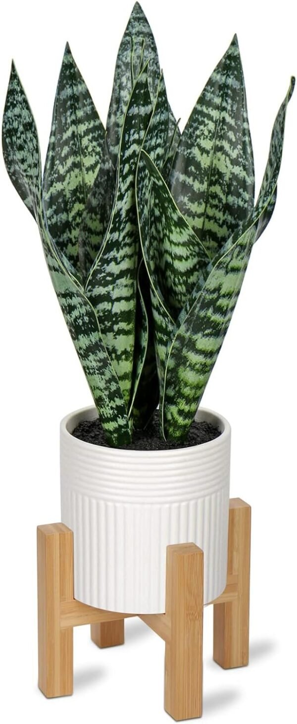 Fake Snake Plant 16" Faux Potted Plant Artificial Snake Plant with White Ceramic Pot Sansevieria Plant Perfect for House Modern Living Room Office Housewarming Gift Indoor Decor