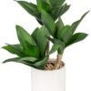 Large Artificial Succulent Plants Fake Three-Head Agave Succulent Plant Potted 15" Faux Plant in White Pot Succulent Aloe Plant Indoor for Desk Modern Home Office Living Room Table Shelf Decor