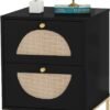 Rattan Nightstand, End Side Table with 2 Rattan Drawers, Wood Square Bedside Table with Storage, Accent Sofa Table for Home Office Living Room Bedroom, White