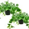 1 Pack Fake Plants Artificial Scindapsus Aureus in Pots, Realistic Fake Greenery Potted Plants for Home Office Desk Window Sill Bathroom Bedroom Outdoor Indoor