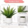 Faux Plant Indoor in Ceramic Pot 13" Artificial Potted Fern Fake House Plants for Desk Office Bathroom Garden Decoration