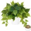 Faux Plants Indoor with Plastic Pots, Realistic Small Fake Plants, Fake Plants with Pothos, Fake Potted Plants, Artificial Plant for Home Shelf Bathroom Kitchen Office Indoor Outdoor Decor