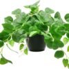 1 Pack Fake Plants Artificial Scindapsus Aureus in Pots, Realistic Fake Greenery Potted Plants for Home Office Desk Window Sill Bathroom Bedroom Outdoor Indoor