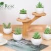 6 Packs Fake Plants Small Realistic Succulents Plants Artificial for Home Room Decor Indoor
