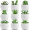 6 Packs Fake Plants Small Realistic Succulents Plants Artificial for Home Room Decor Indoor